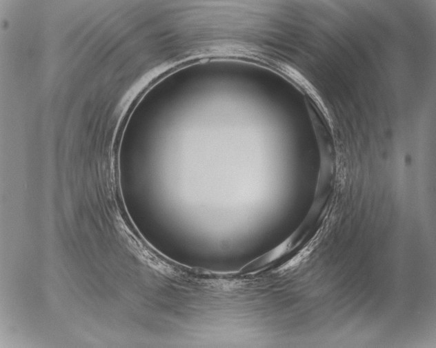 X0000053000996200507291638