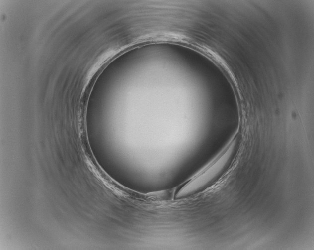 X0000053000997200507291638