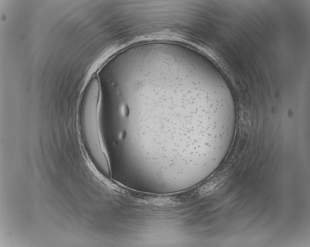 X0000053000998200507291638