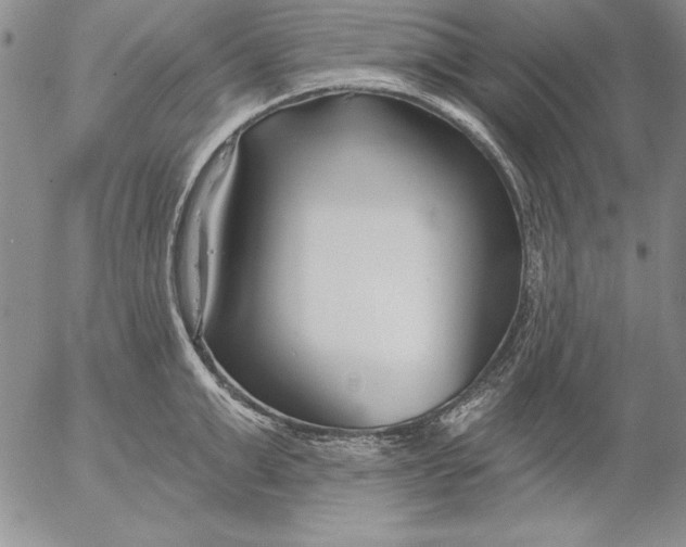 X0000053000999200507291638