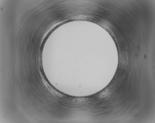 X0000053001000200507291638