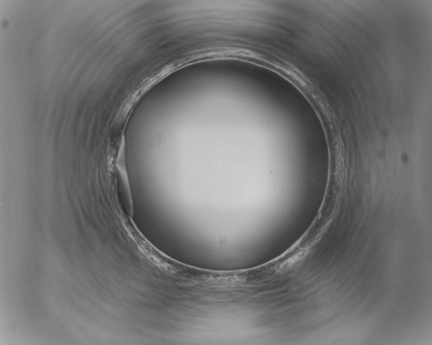 X0000053001001200507291638