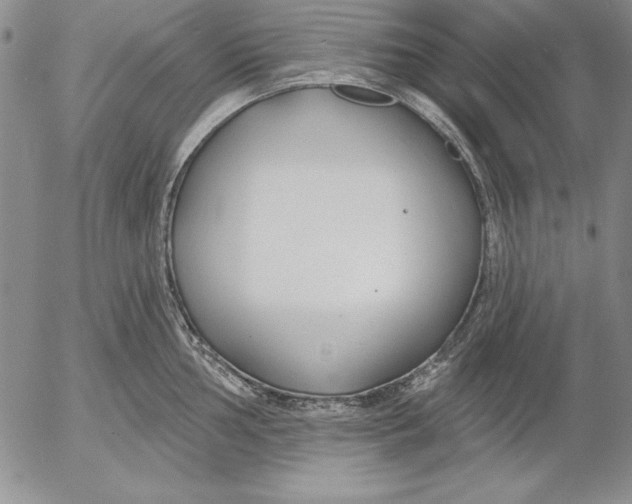 X0000053001002200507291638