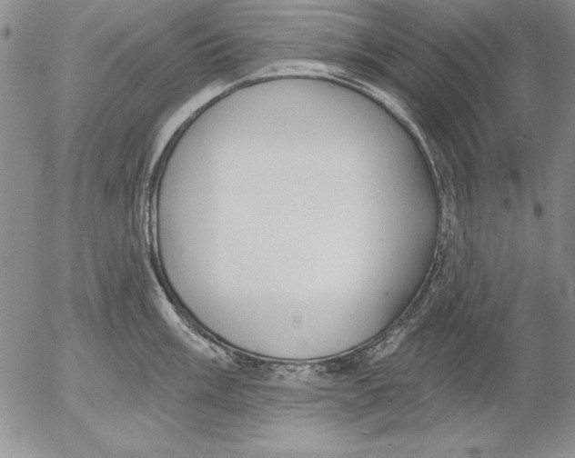 X0000053001003200507291637