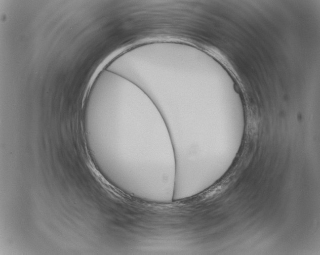 X0000053001004200507291637