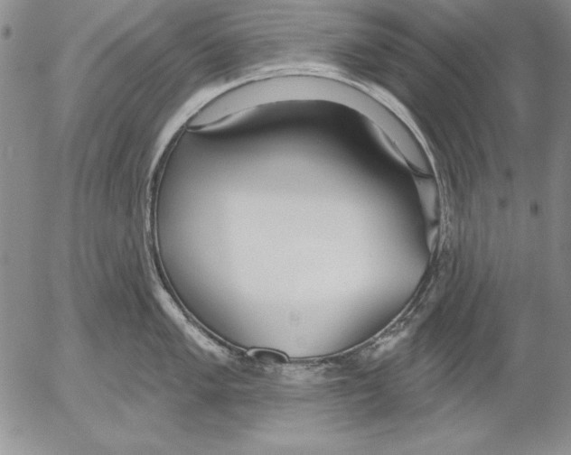 X0000053001005200507291637