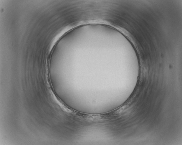 X0000053001006200507291637