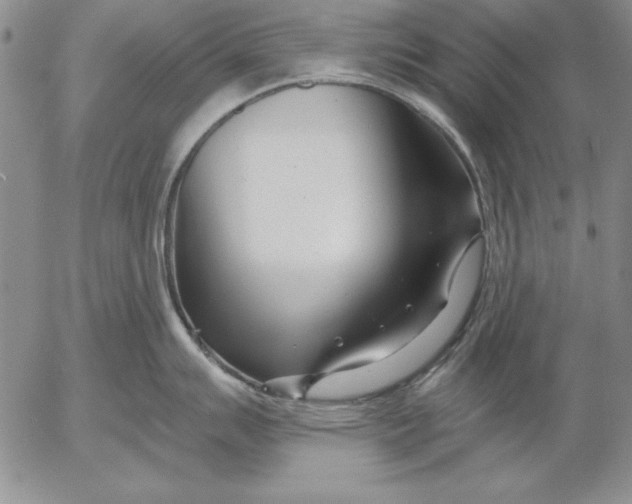 X0000053001007200507291637