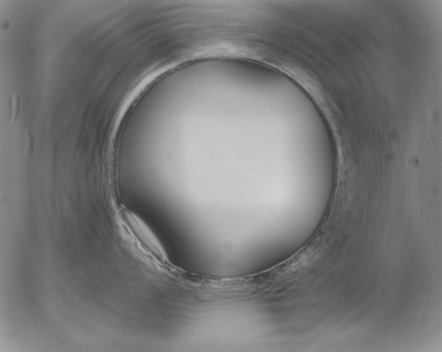 X0000053001008200507291637