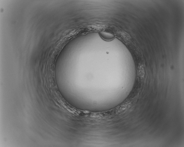 X0000053001009200507291637