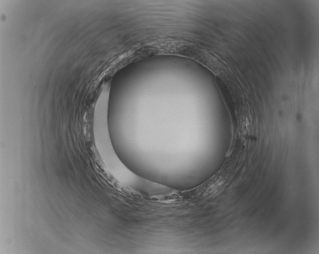 X0000053001010200507291637