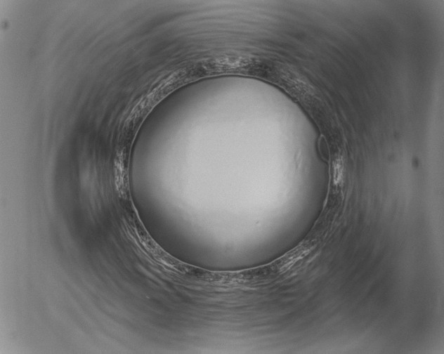 X0000053001011200507291637