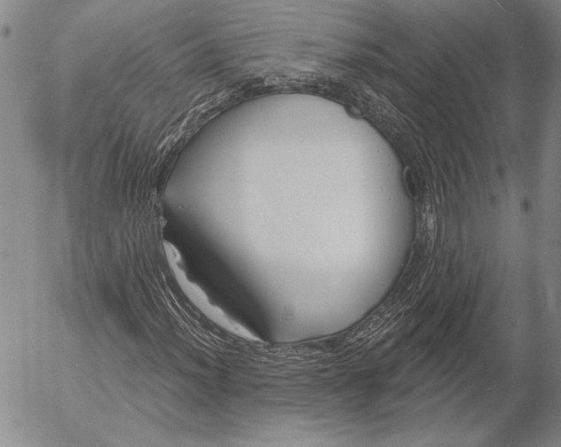 X0000053001012200507291637