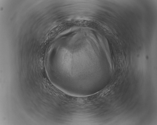 X0000053001013200507291637