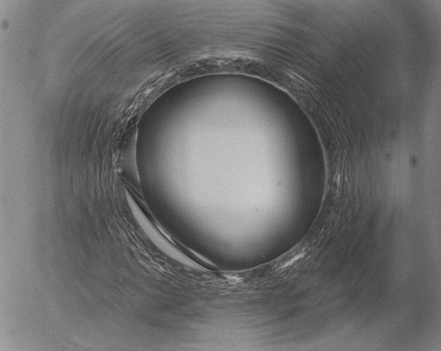 X0000053001014200507291637