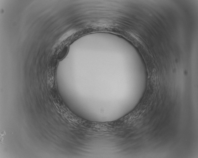 X0000053001015200507291637