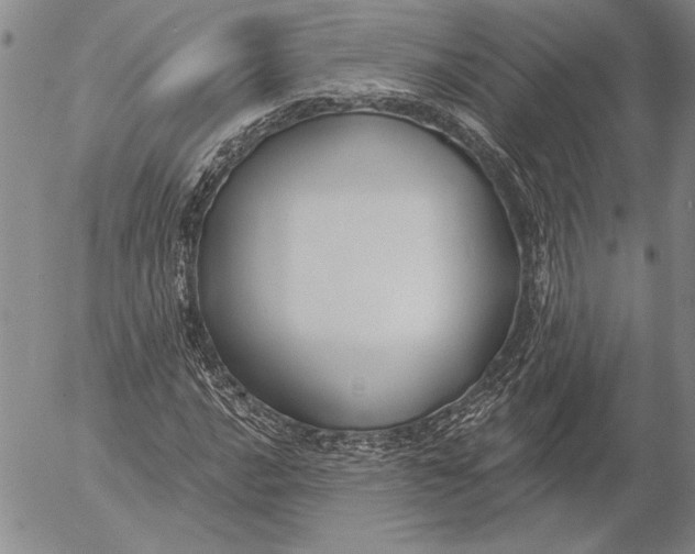 X0000053001016200507291637