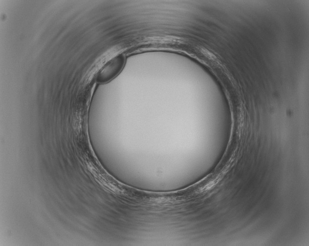 X0000053001017200507291637