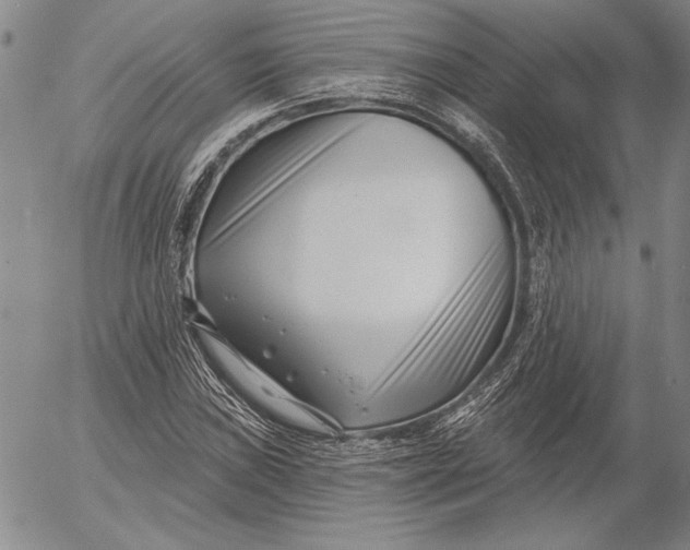 X0000053001019200507291637