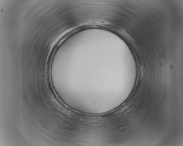 X0000053001020200507291637