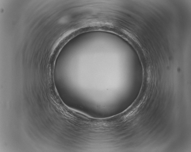 X0000053001021200507291637