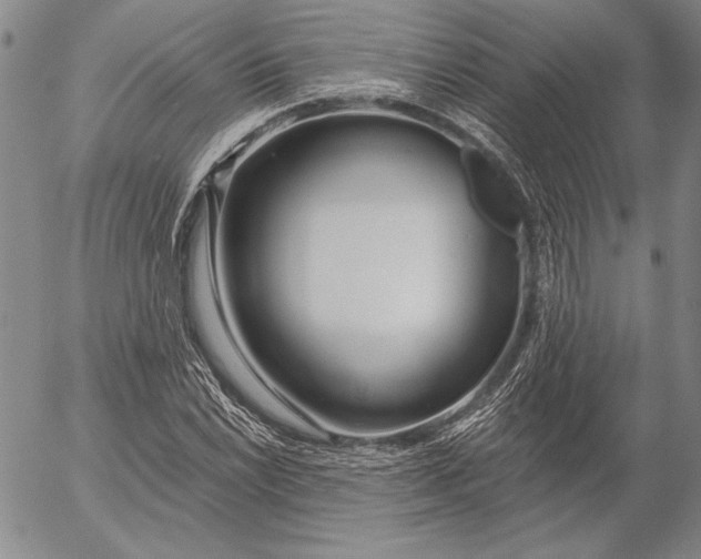 X0000053001022200507291637