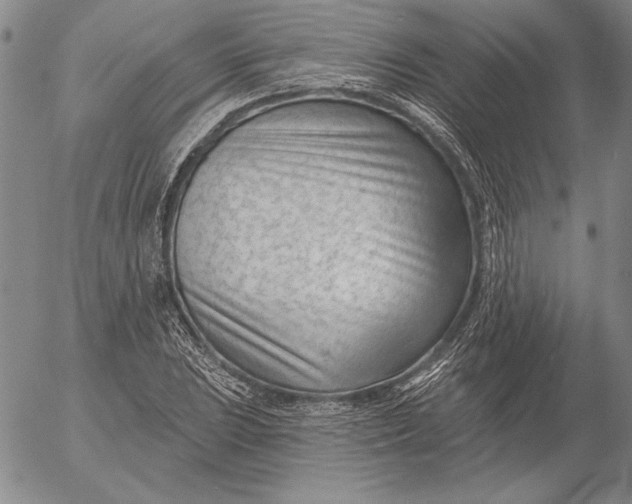 X0000053001023200507291637