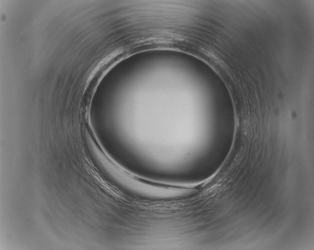 X0000053001026200507291637