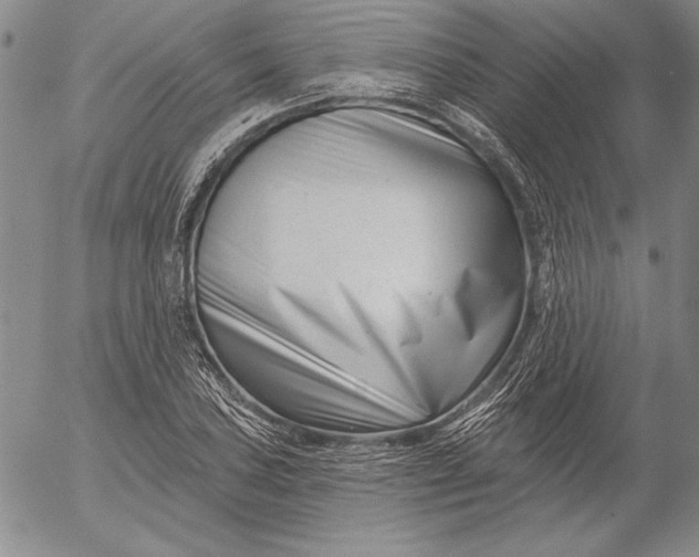 X0000053001027200507291637