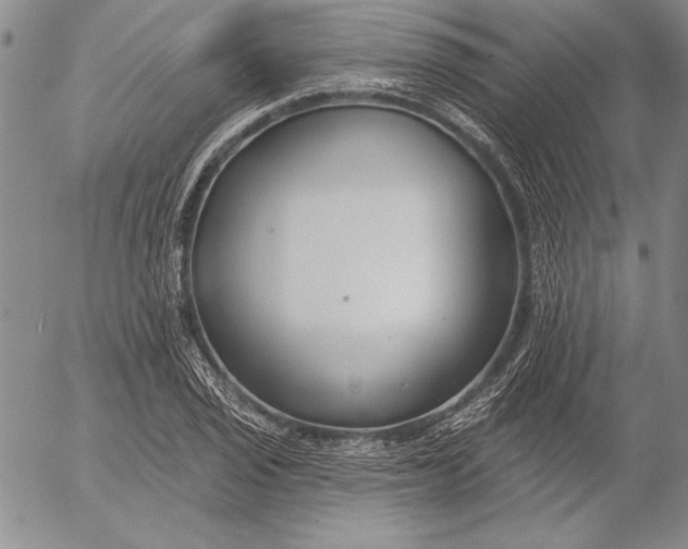 X0000053001029200507291637