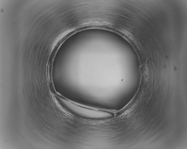 X0000053001030200507291637