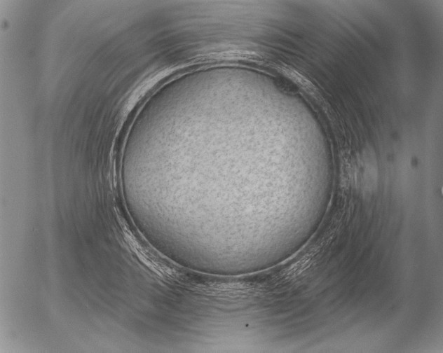 X0000053001031200507291637