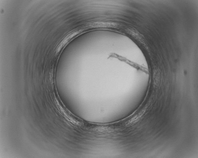 X0000053001033200507291637