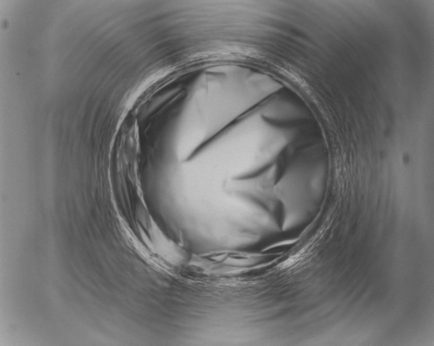 X0000053001034200507291637