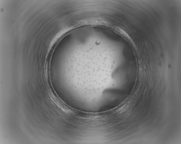 X0000053001035200507291637