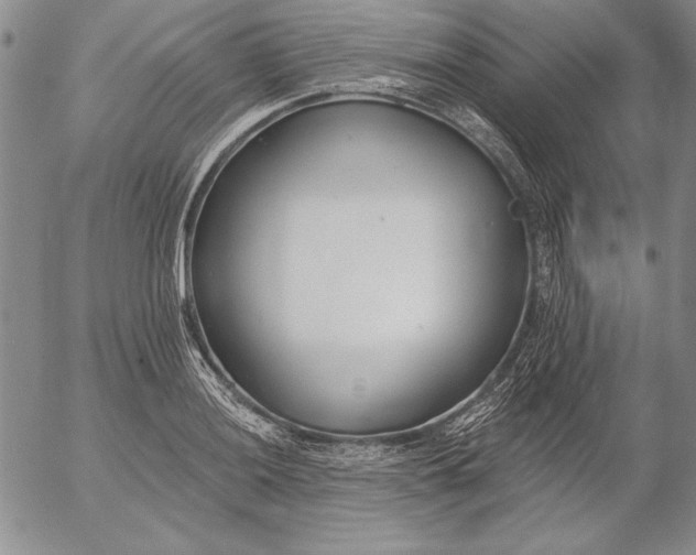 X0000053001036200507291637