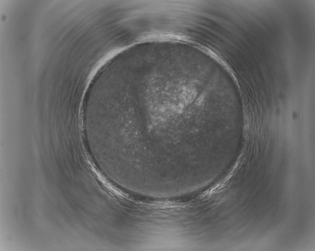 X0000053001037200507291637