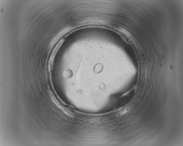 X0000053001038200507291637