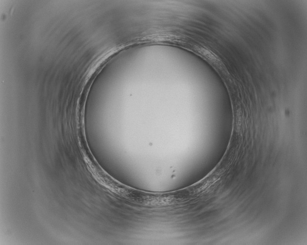 X0000053001039200507291637