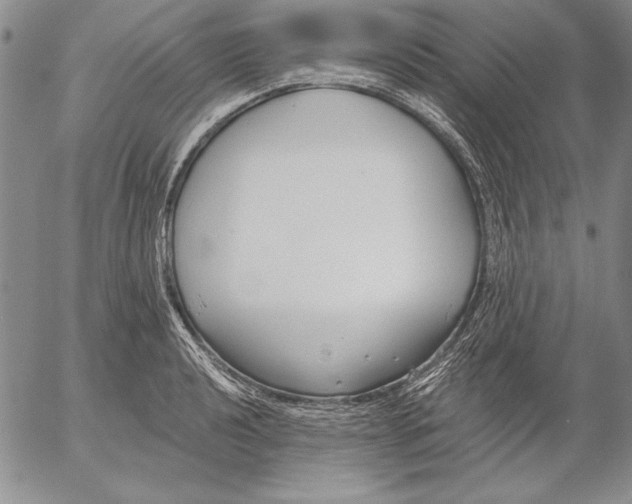 X0000053001040200507291637