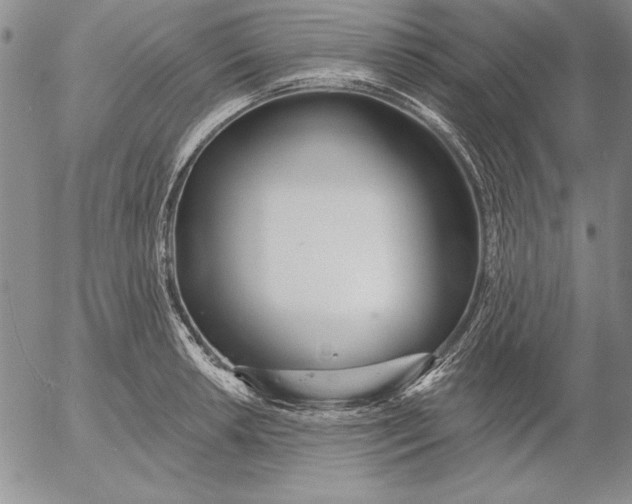 X0000053001042200507291637