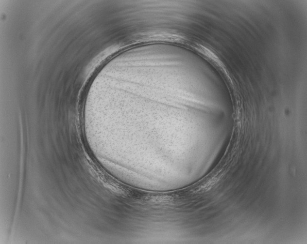 X0000053001043200507291637