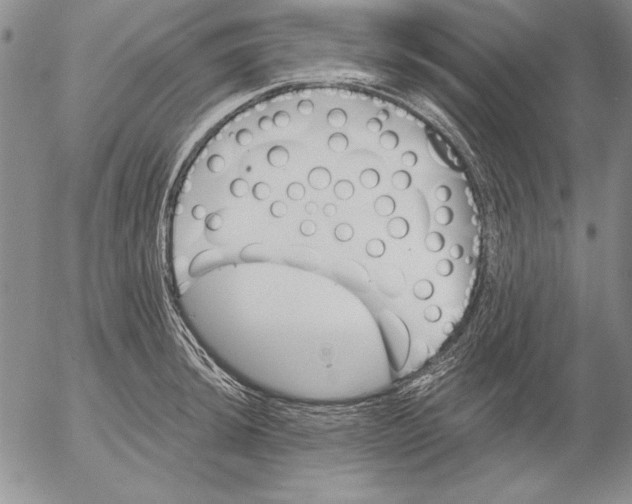 X0000053001044200507291637