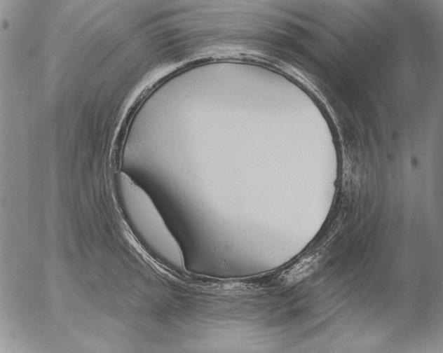 X0000053001045200507291637