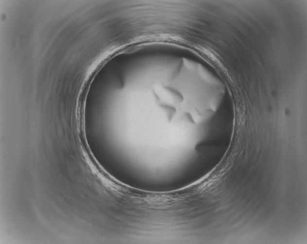 X0000053001046200507291637