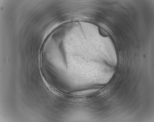 X0000053001047200507291637