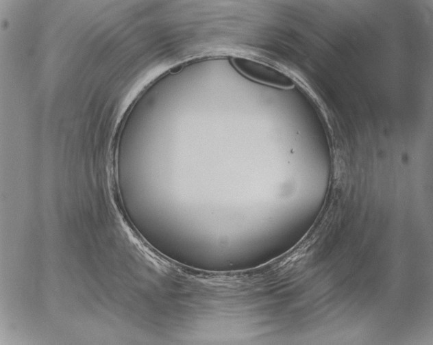 X0000053001048200507291637