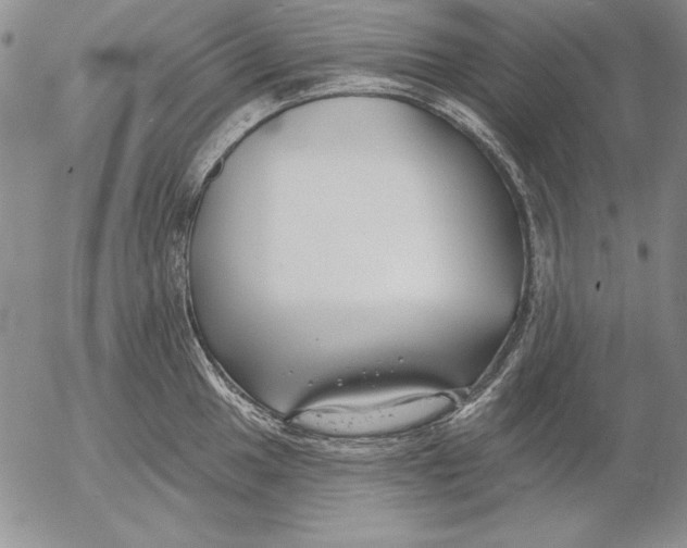 X0000053001049200507291637