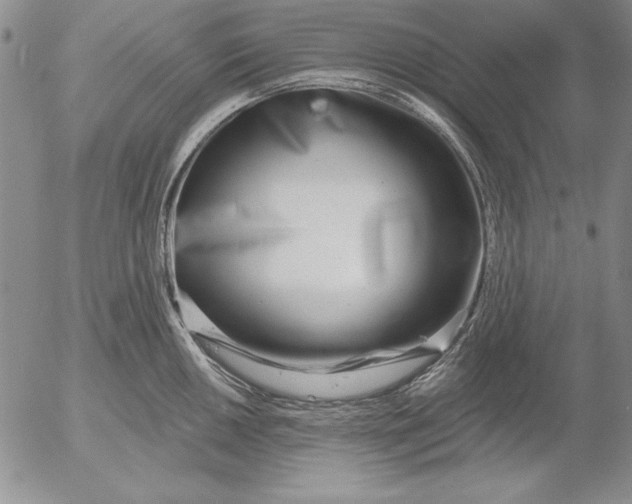 X0000053001050200507291637