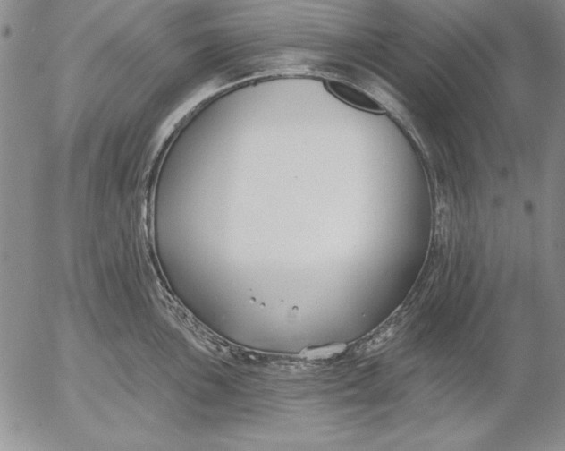 X0000053001051200507291637